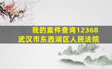 我的案件查询12368武汉市东西湖区人民法院