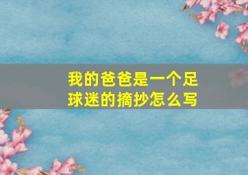 我的爸爸是一个足球迷的摘抄怎么写