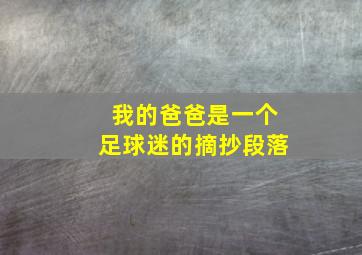 我的爸爸是一个足球迷的摘抄段落