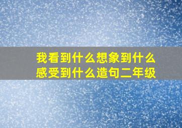 我看到什么想象到什么感受到什么造句二年级