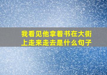 我看见他拿着书在大街上走来走去是什么句子