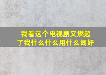 我看这个电视剧又燃起了我什么什么用什么词好