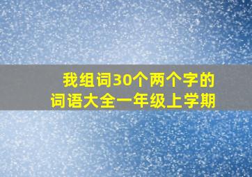 我组词30个两个字的词语大全一年级上学期