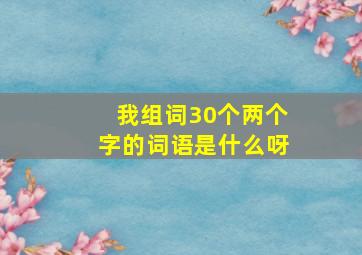 我组词30个两个字的词语是什么呀