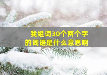 我组词30个两个字的词语是什么意思啊