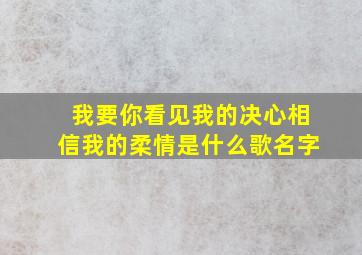 我要你看见我的决心相信我的柔情是什么歌名字