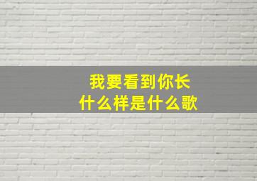 我要看到你长什么样是什么歌