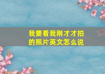 我要看我刚才才拍的照片英文怎么说