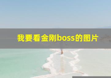 我要看金刚boss的图片