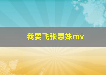 我要飞张惠妹mv