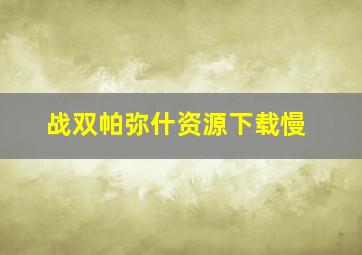 战双帕弥什资源下载慢