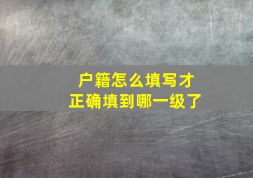 户籍怎么填写才正确填到哪一级了