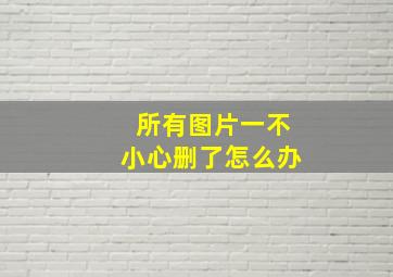 所有图片一不小心删了怎么办