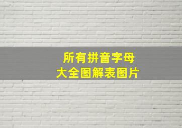 所有拼音字母大全图解表图片