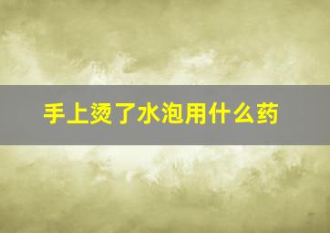 手上烫了水泡用什么药