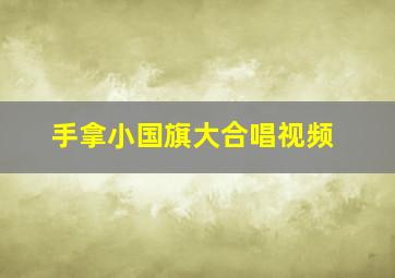 手拿小国旗大合唱视频