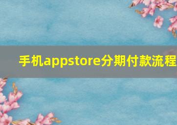 手机appstore分期付款流程