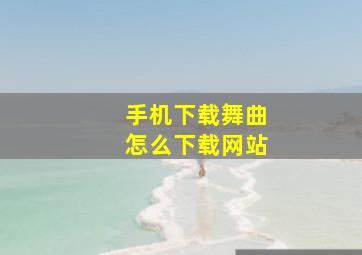 手机下载舞曲怎么下载网站