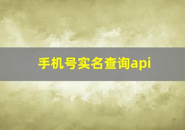 手机号实名查询api