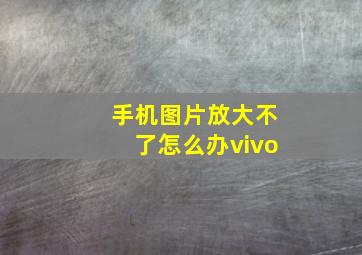 手机图片放大不了怎么办vivo