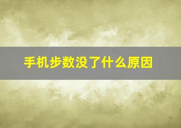 手机步数没了什么原因