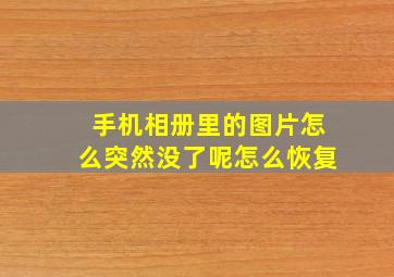 手机相册里的图片怎么突然没了呢怎么恢复