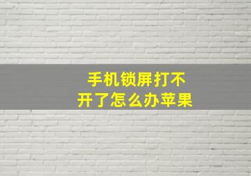 手机锁屏打不开了怎么办苹果