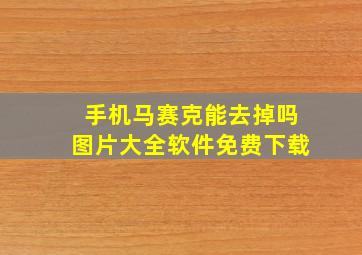 手机马赛克能去掉吗图片大全软件免费下载