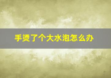 手烫了个大水泡怎么办