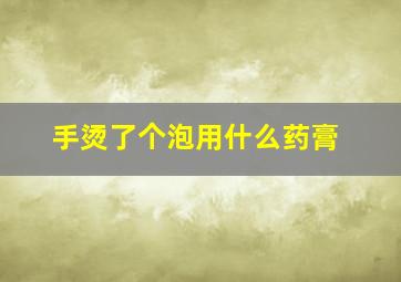 手烫了个泡用什么药膏