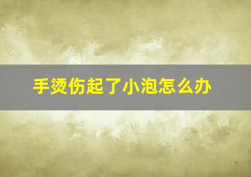 手烫伤起了小泡怎么办