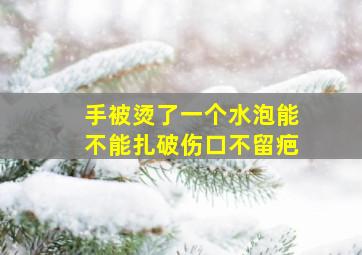 手被烫了一个水泡能不能扎破伤口不留疤