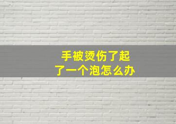 手被烫伤了起了一个泡怎么办