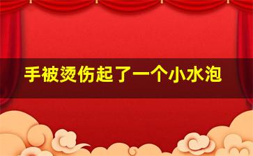 手被烫伤起了一个小水泡