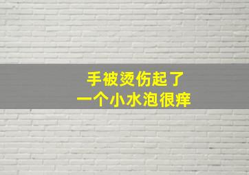 手被烫伤起了一个小水泡很痒