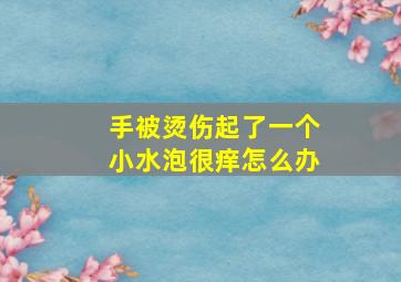 手被烫伤起了一个小水泡很痒怎么办