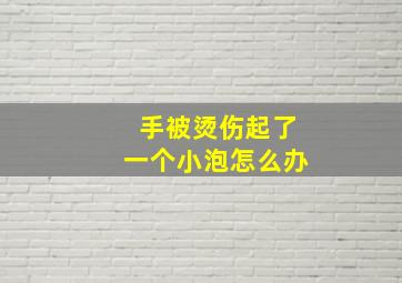 手被烫伤起了一个小泡怎么办