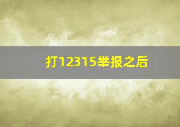 打12315举报之后