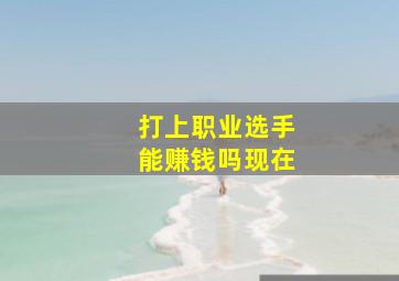 打上职业选手能赚钱吗现在