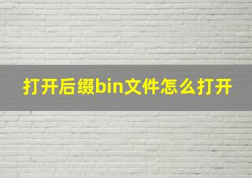 打开后缀bin文件怎么打开