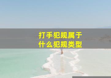 打手犯规属于什么犯规类型