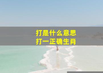 打是什么意思打一正确生肖