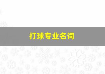 打球专业名词