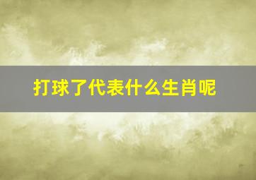 打球了代表什么生肖呢