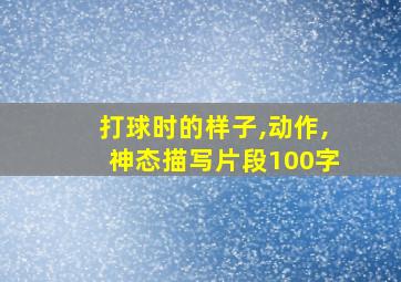 打球时的样子,动作,神态描写片段100字