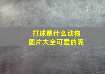 打球是什么动物图片大全可爱的呢