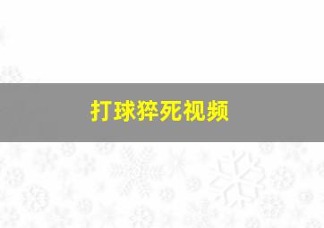 打球猝死视频