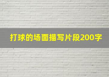 打球的场面描写片段200字