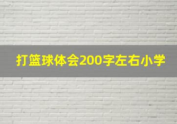 打篮球体会200字左右小学