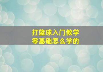 打篮球入门教学零基础怎么学的